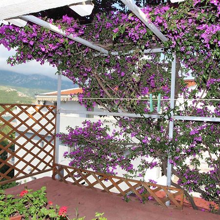 Apartment Sandra Budva Quarto foto